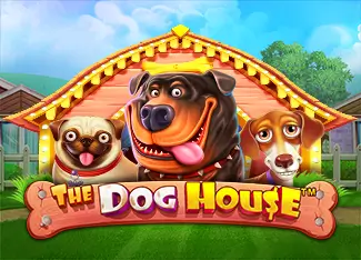 Jackpot ban***i di The Dog House